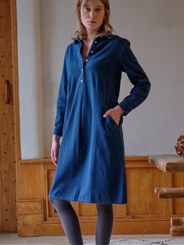 luxurious silk dress-Alexa Women's Cotton Dress | Denim